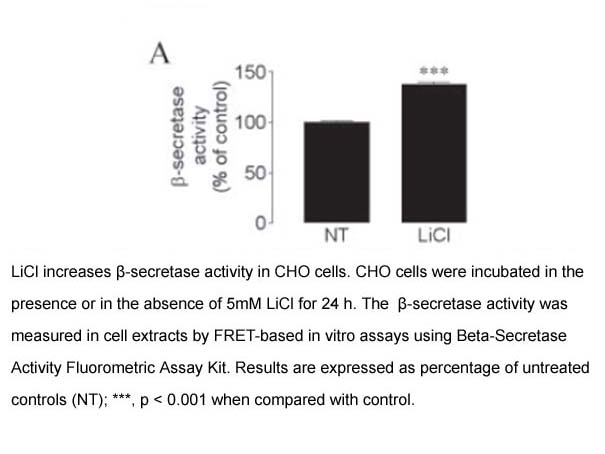 Beta-Secretase Activity Fluorometric Assay Kit