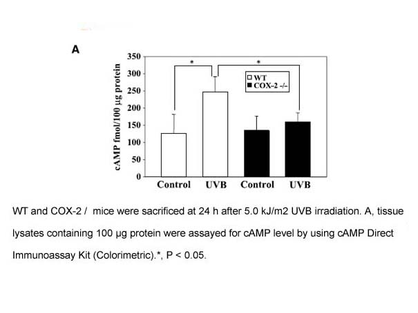 cAMP Direct Immunoassay Kit (Colorimetric)