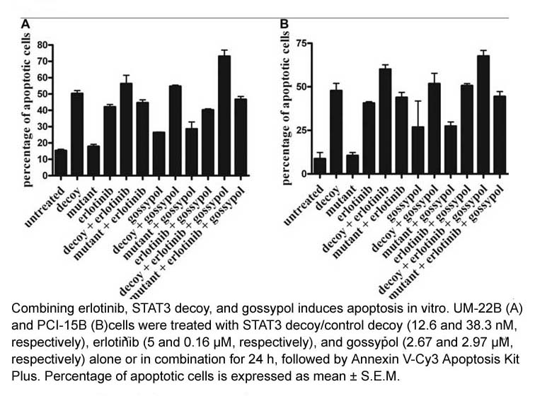 Annexin V-Cy3 Apoptosis Kit Plus