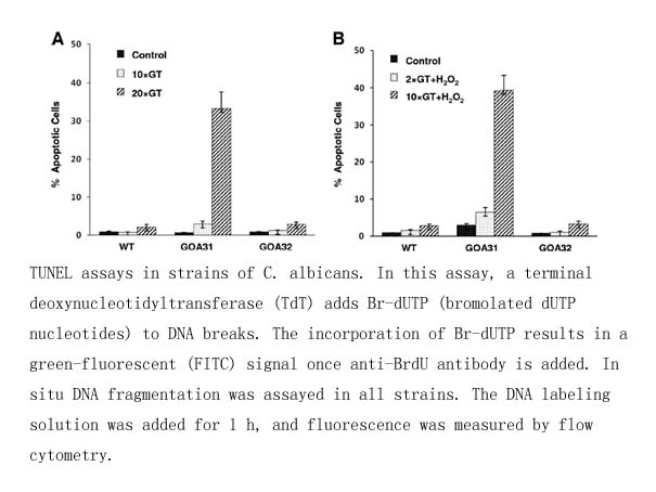 ApoBrdU DNA Fragmentation Assay Kit ApoBrdU DNA Fragmentation Assay Kit