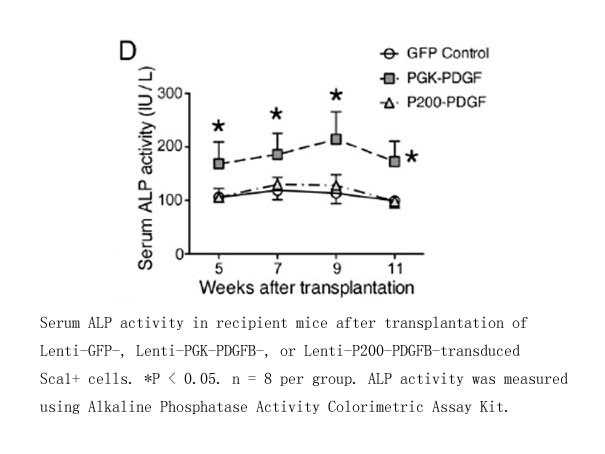 Alkaline Phosphatase Activity Colorimetric Assay Kit