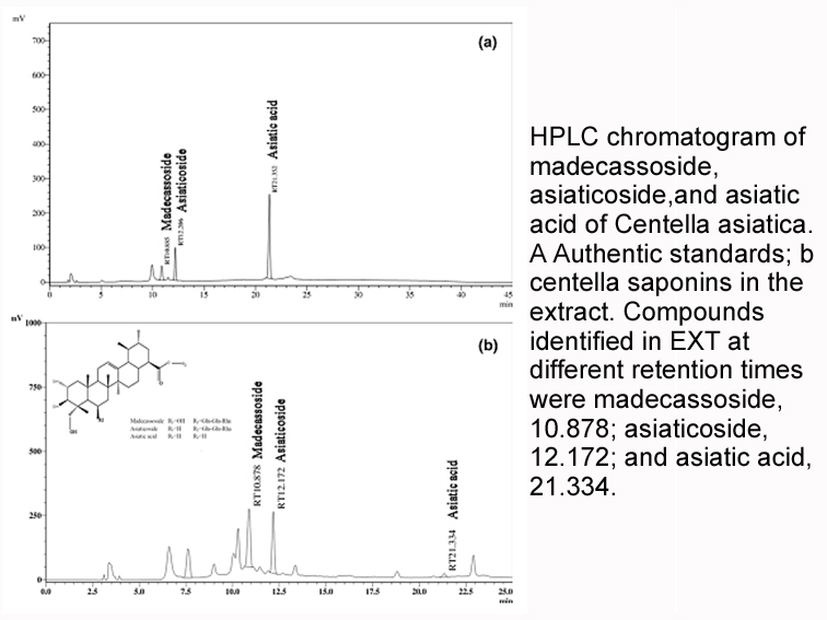 Asiatic acid