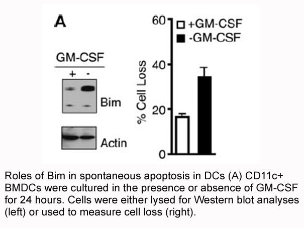 GM-CSF