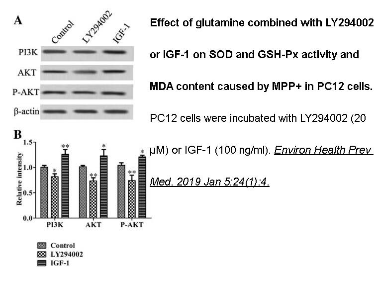 IGF-1