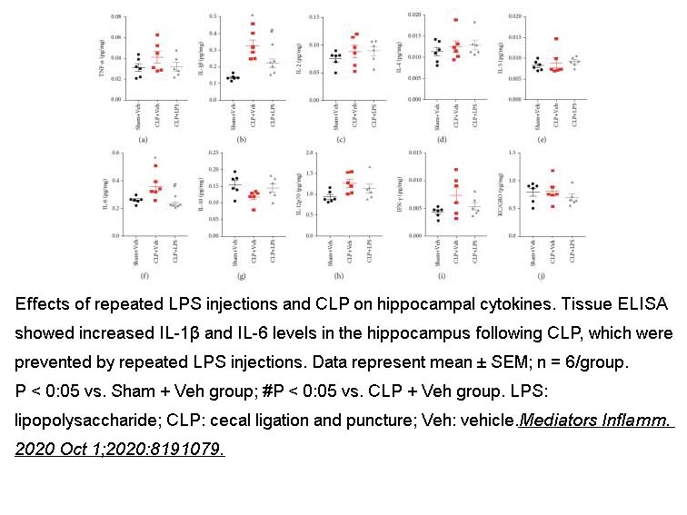 IL-6, rat recombinant