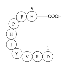 Angiotensin 1/2 (1-9)