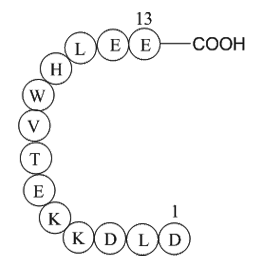 MHC class II antigen (45-57) [Homo sapiens]