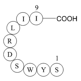 signal transducer and activator of transcription 6 fragment