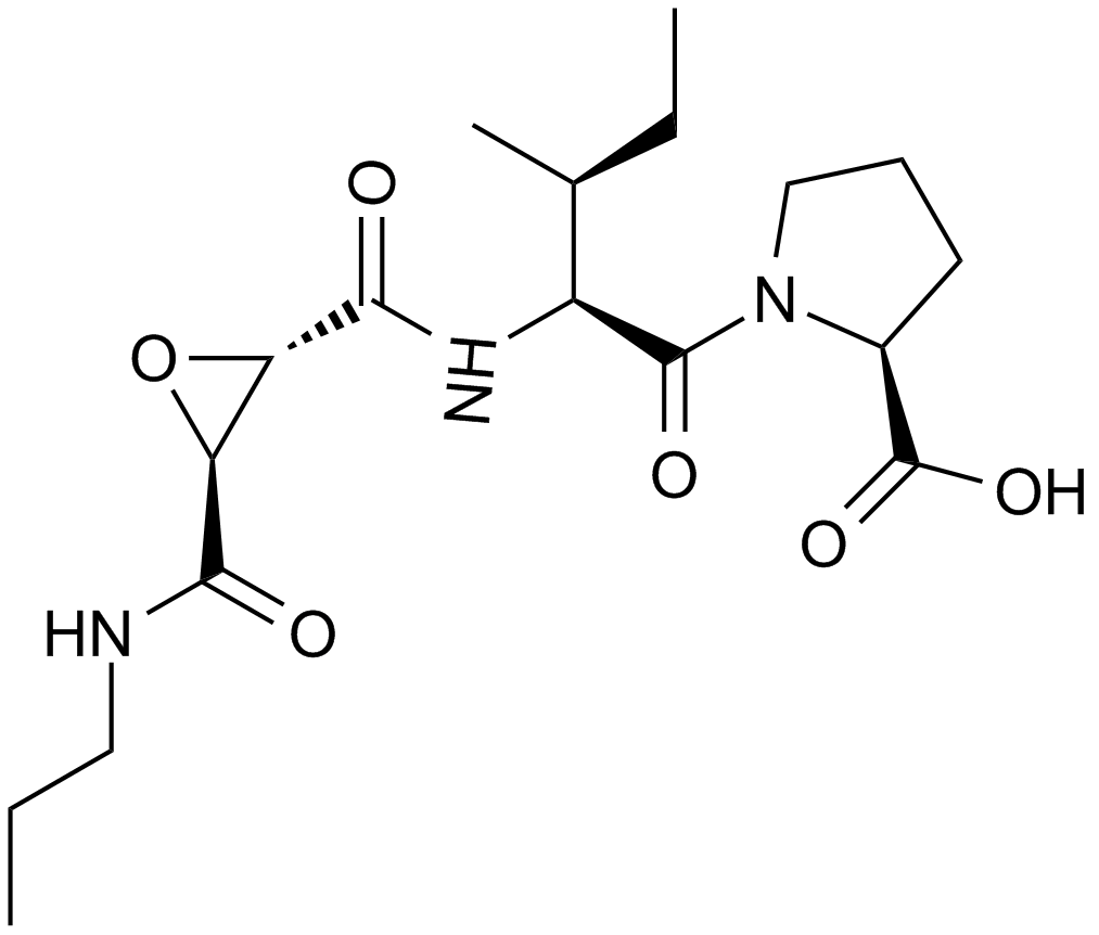 CA 074