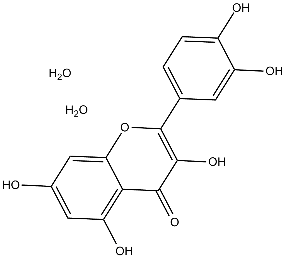 Quercetin dihydrate