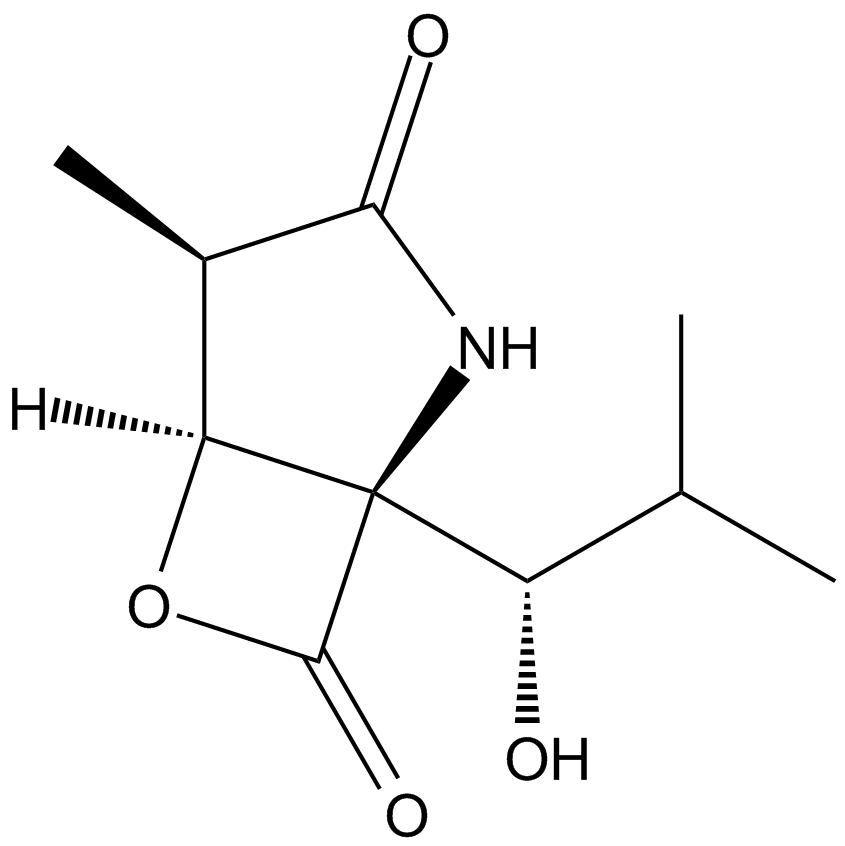 Clasto-Lactacystin β-lactone