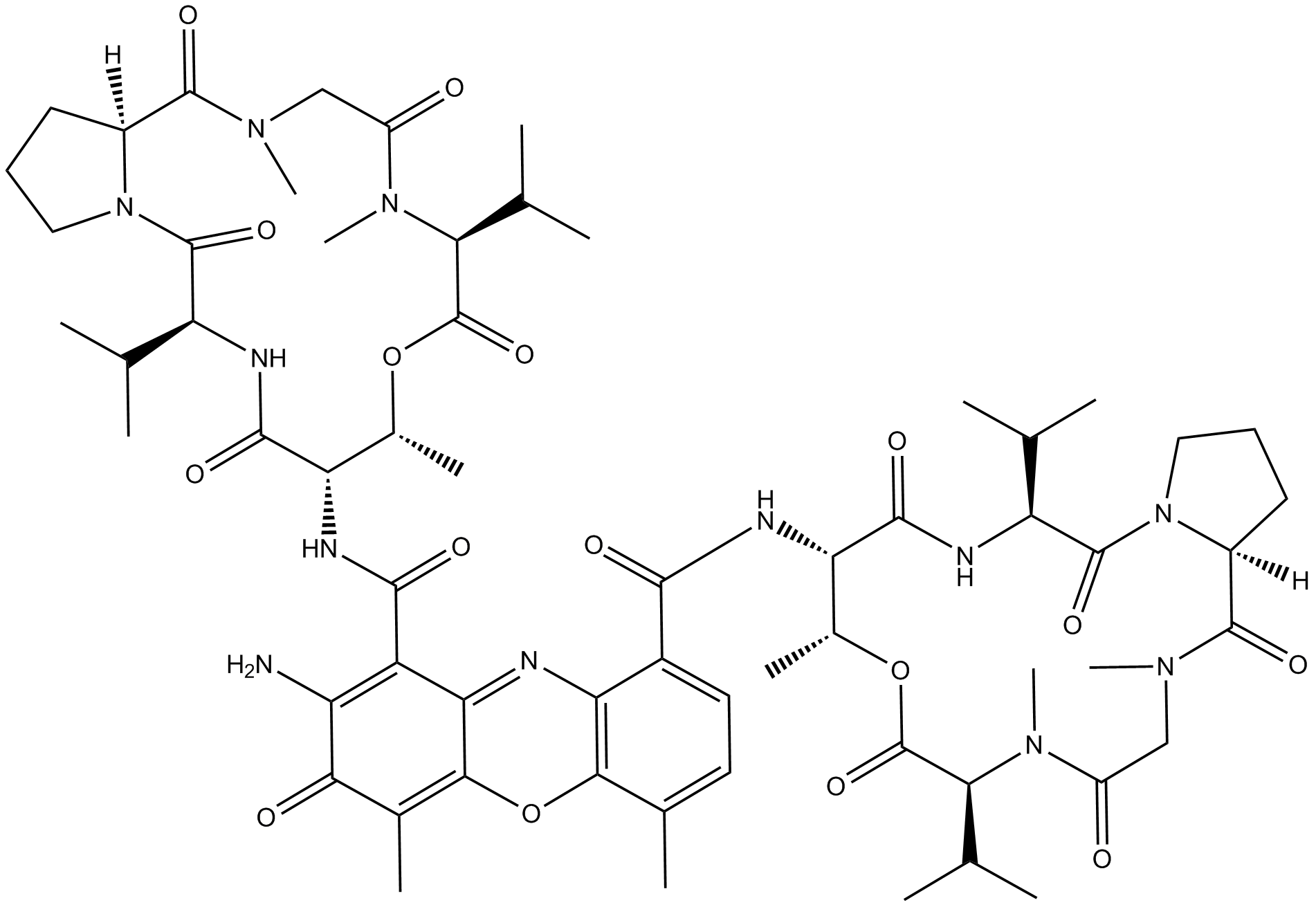 Actinomycin D