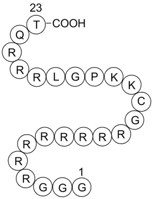 R8-T198wt