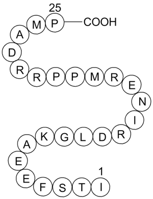 Calcineurin Autoinhibitory Peptide