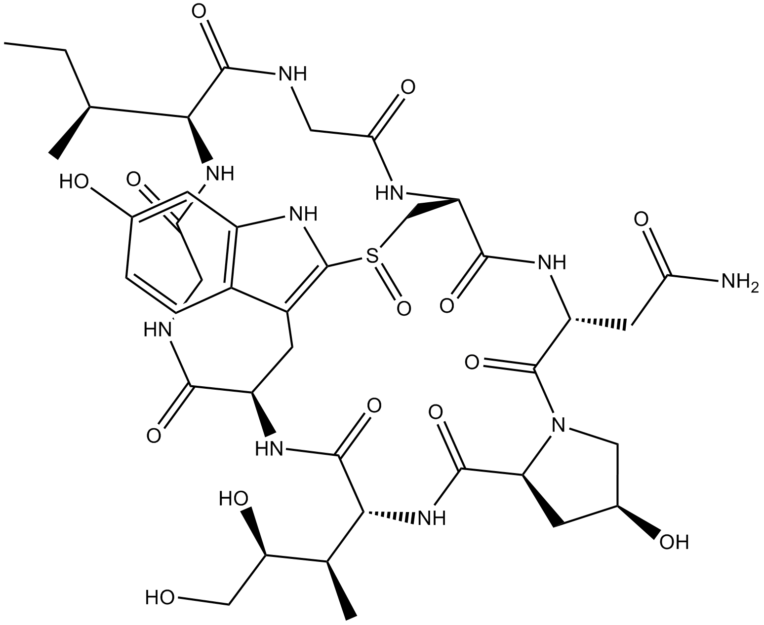 α-Amanitin