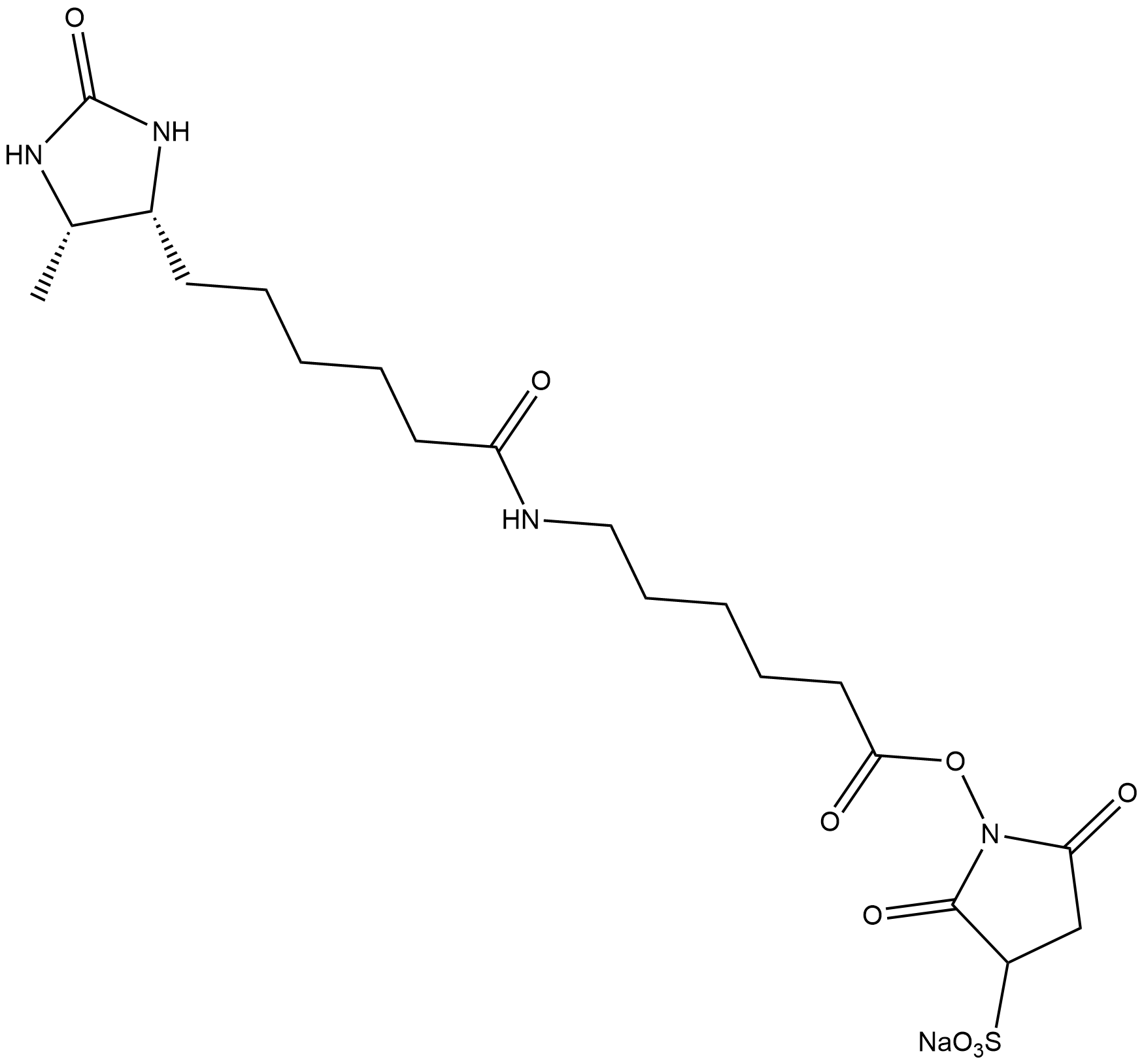 Sulfo-NHS-LC-D-Desthiobiotin
