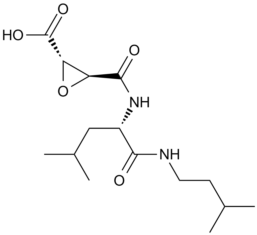 E-64-c