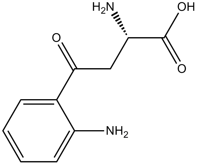 L-Kynurenine