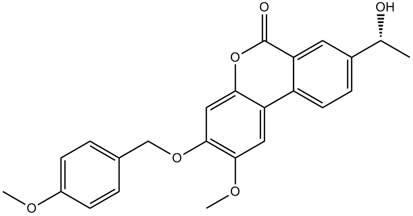 Palomid 529