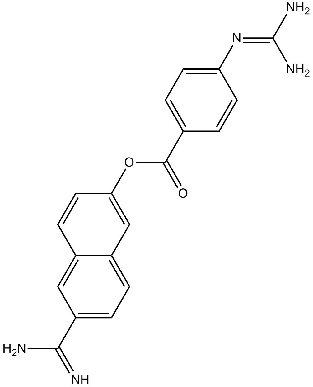 Nafamostat