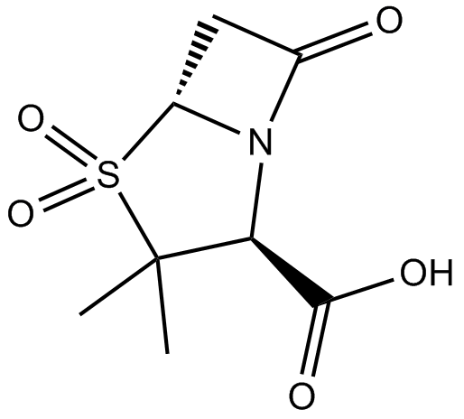 Sulbactam