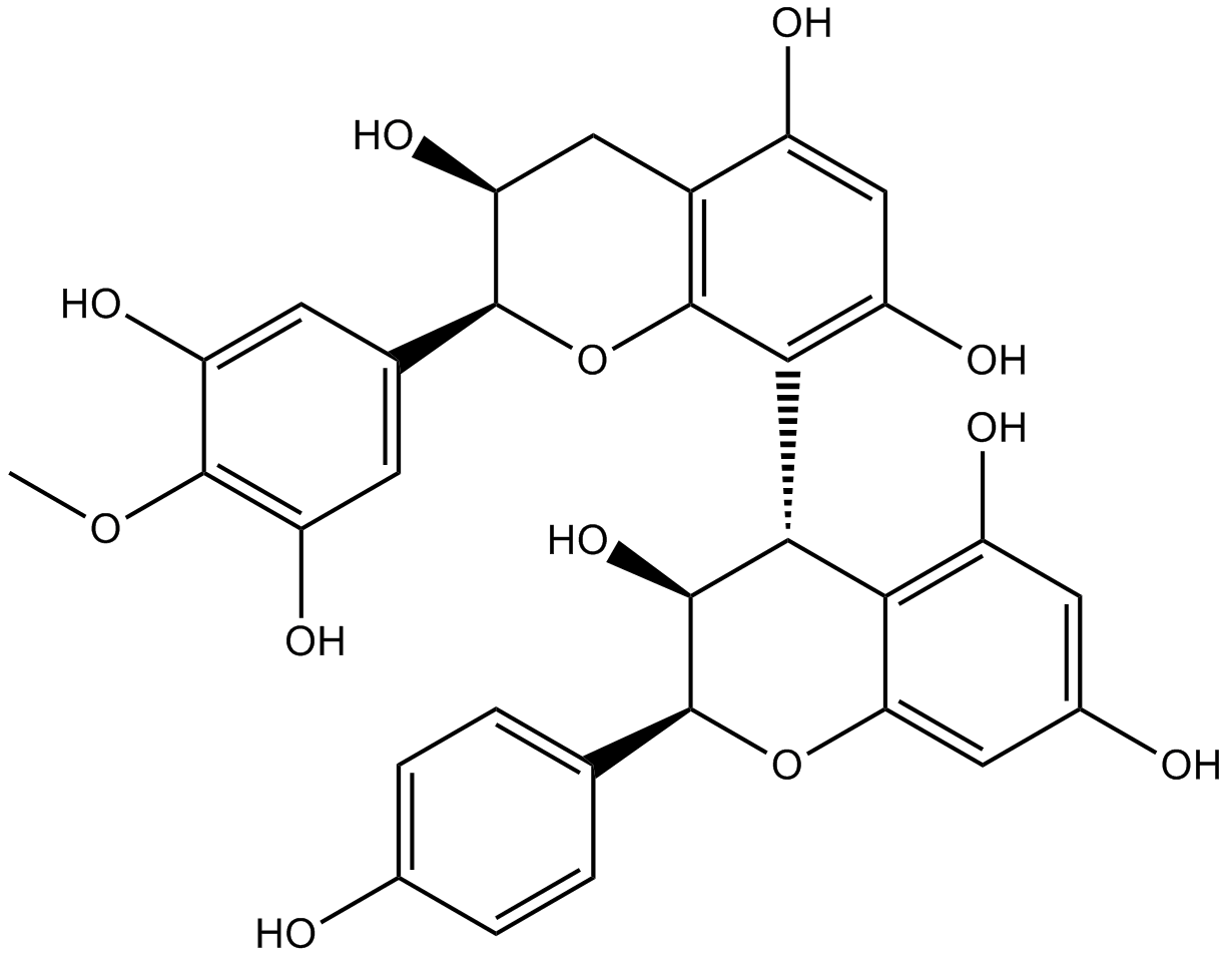 Grape Seed Extract