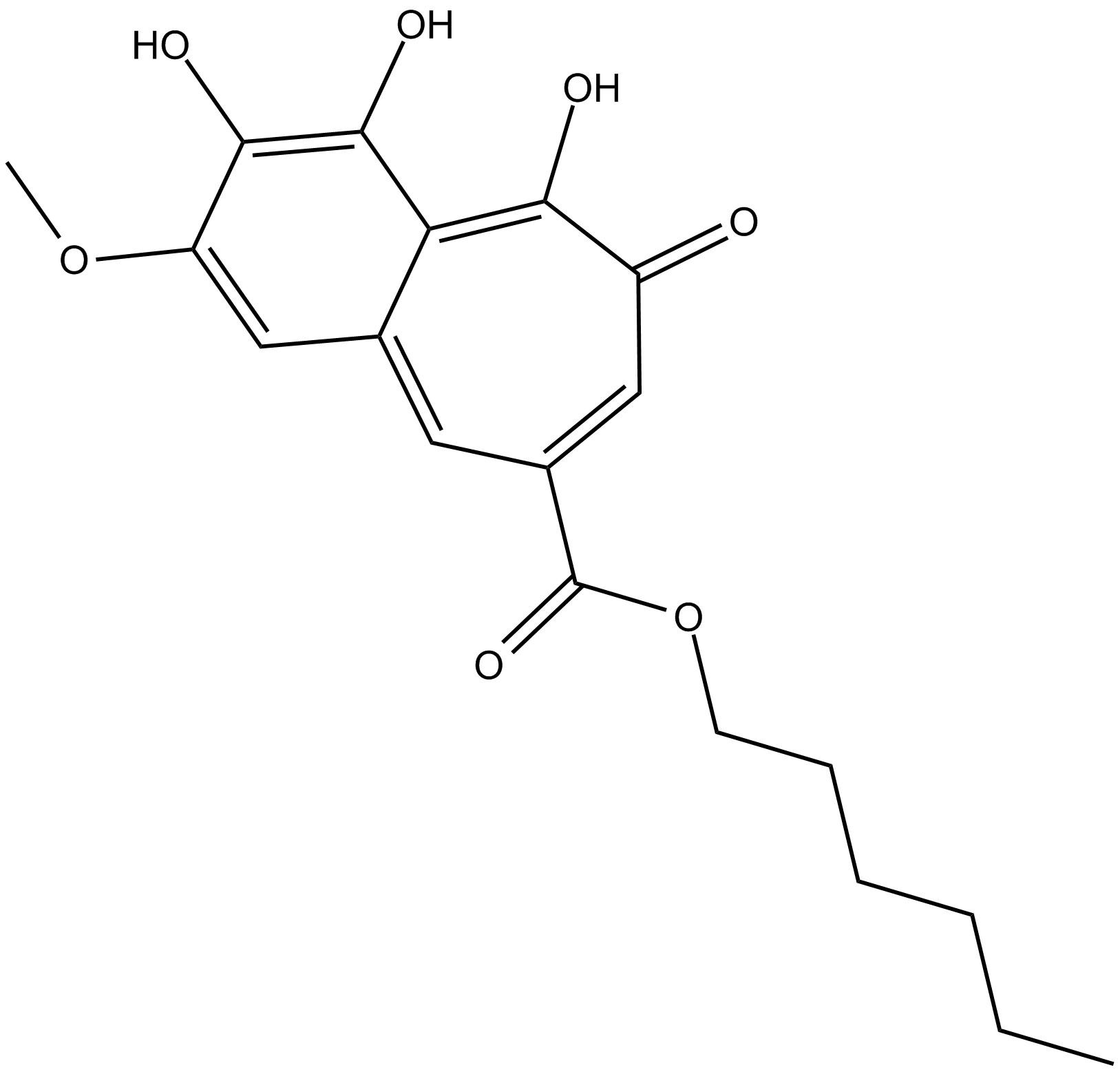 CU CPT 22