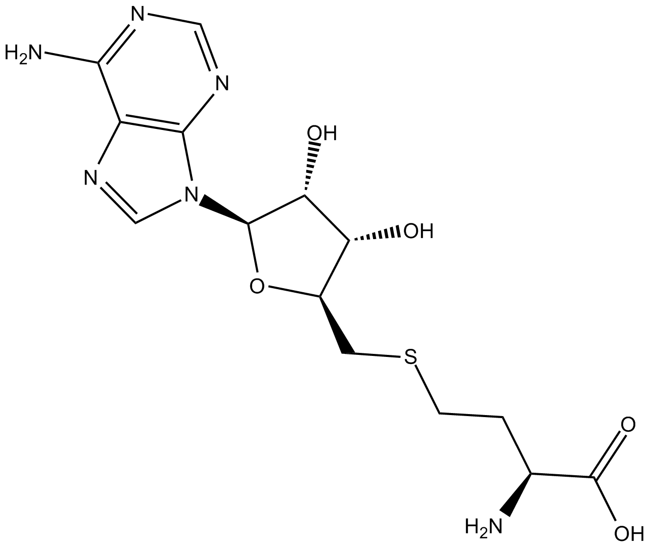 S-Adenosylhomocysteine