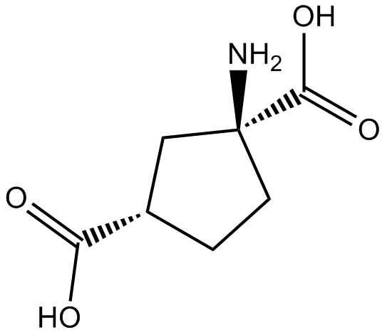 cis-ACPD