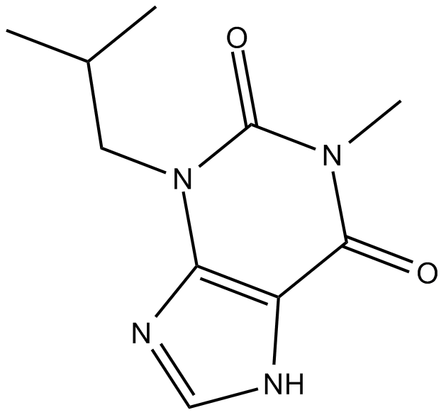 IBMX