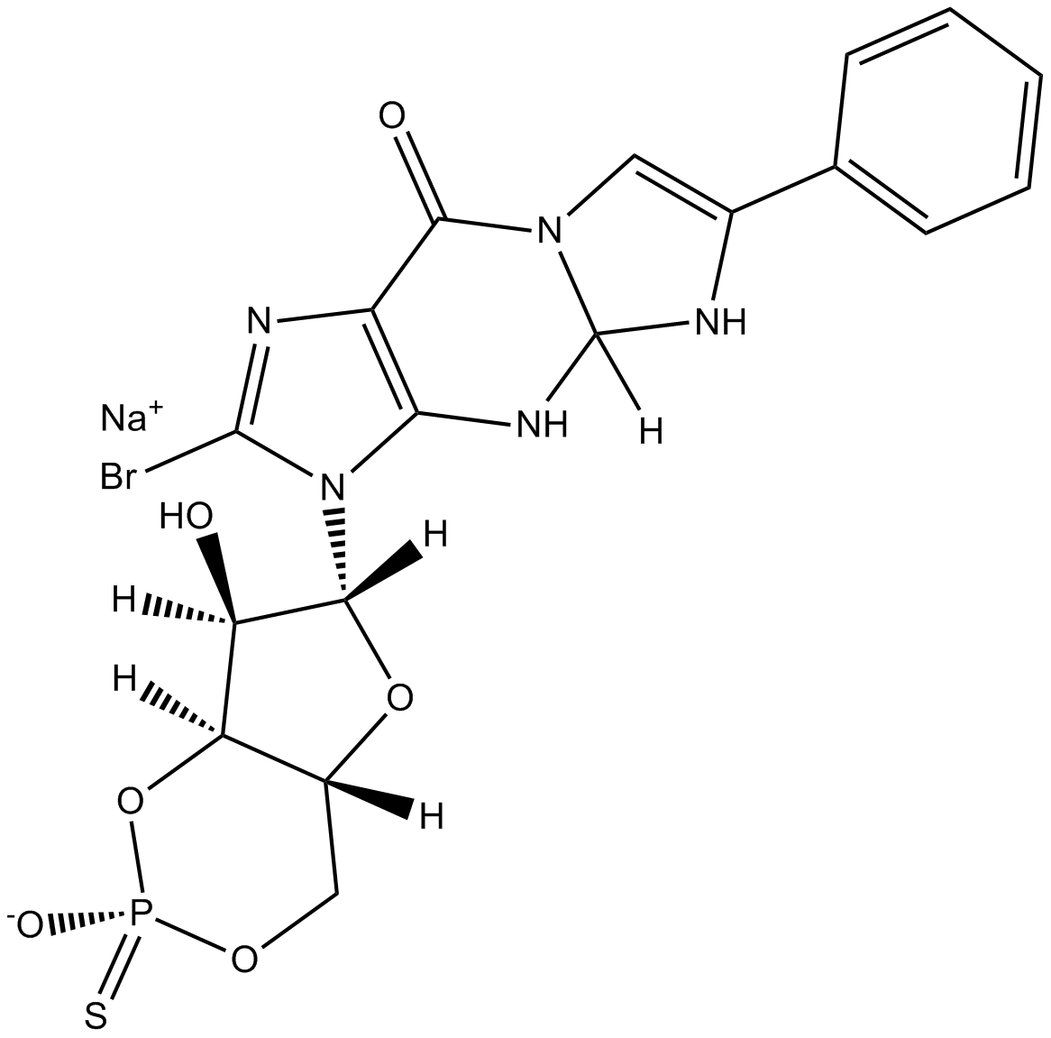 Rp-8-Br-PET-cGMPS