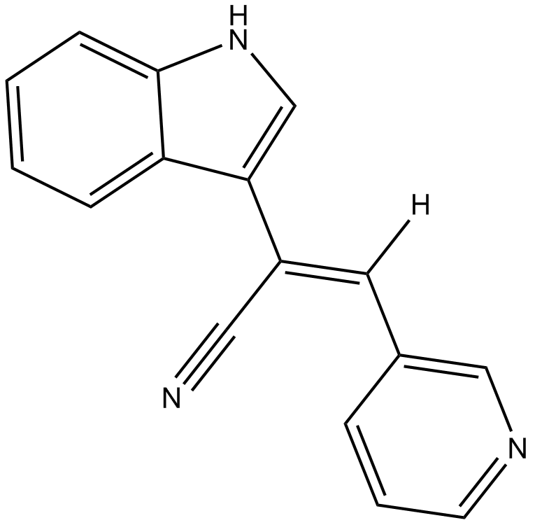 Paprotrain