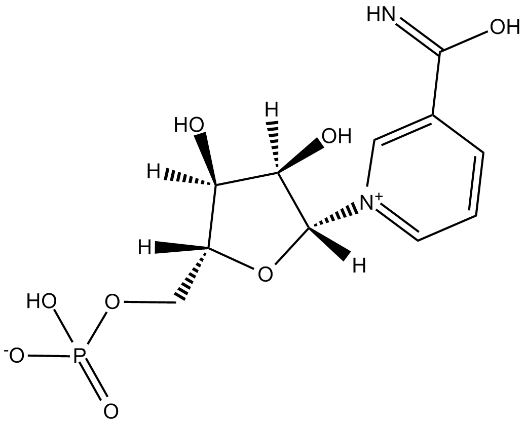 beta-Nicotinamide mononucleotide