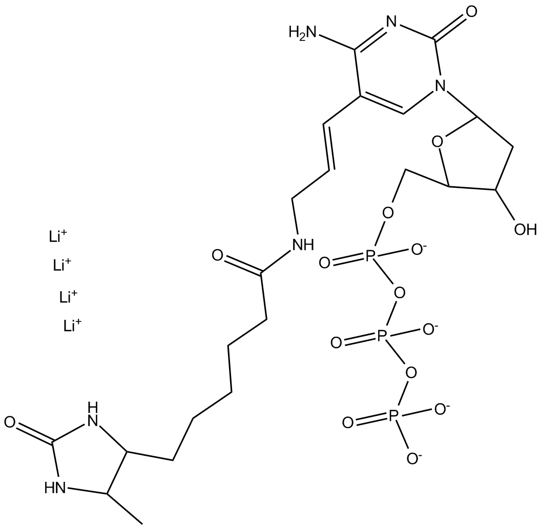 Desthiobiotin-6-dCTP