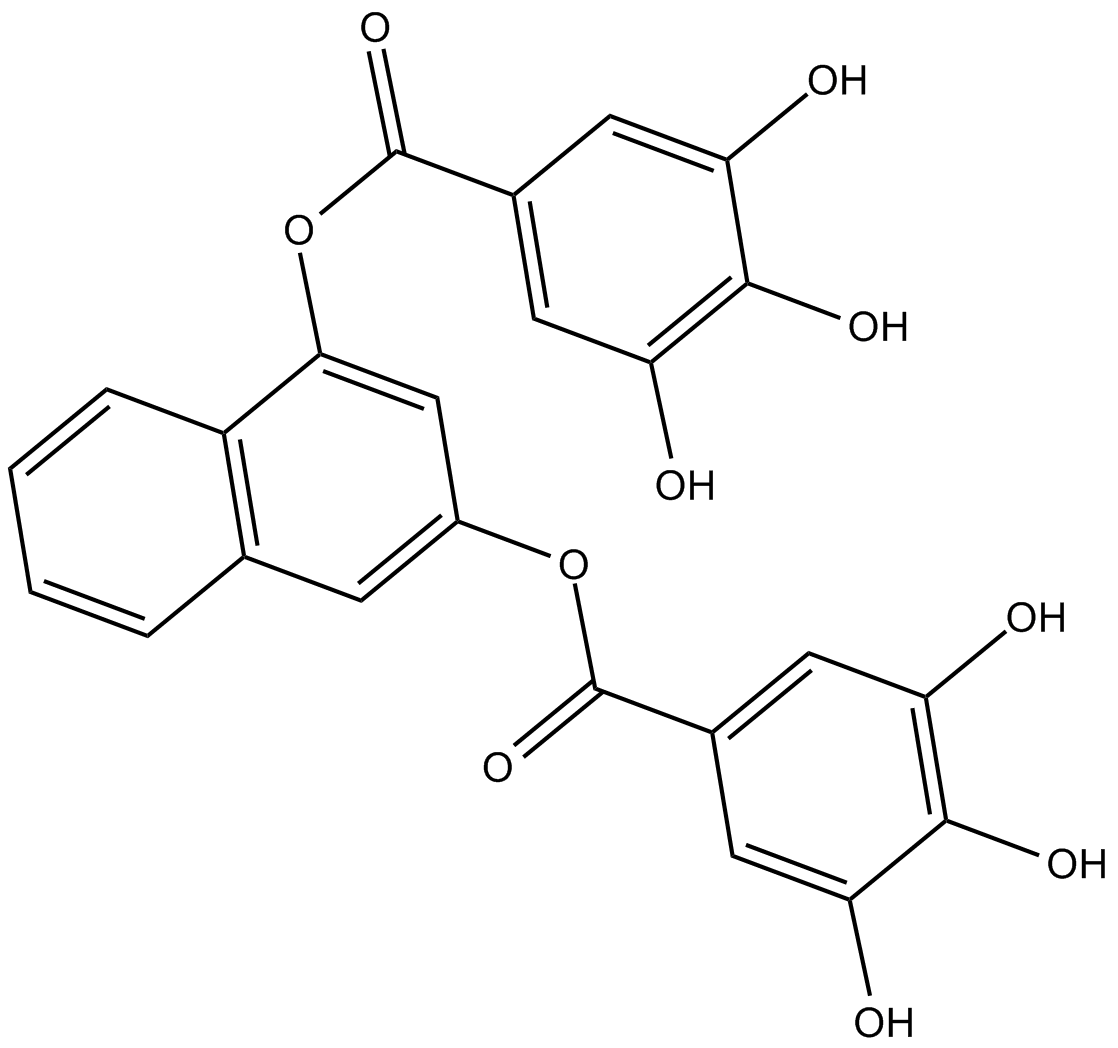 UCM05