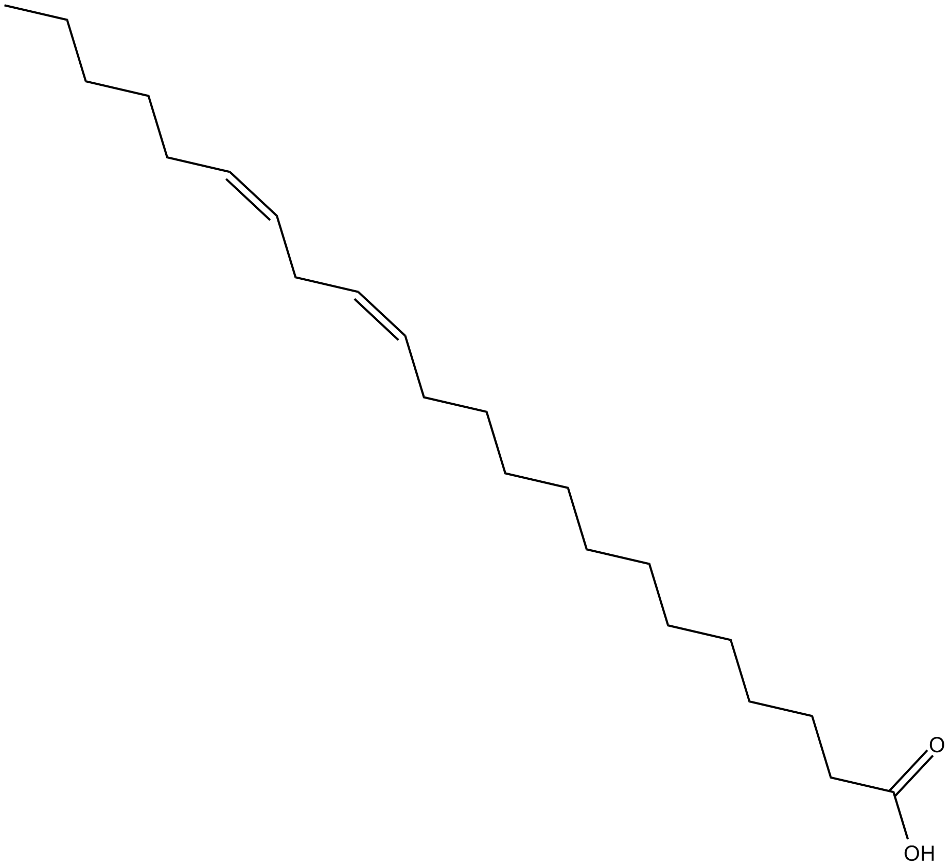 13Z,16Z-Docosadienoic Acid