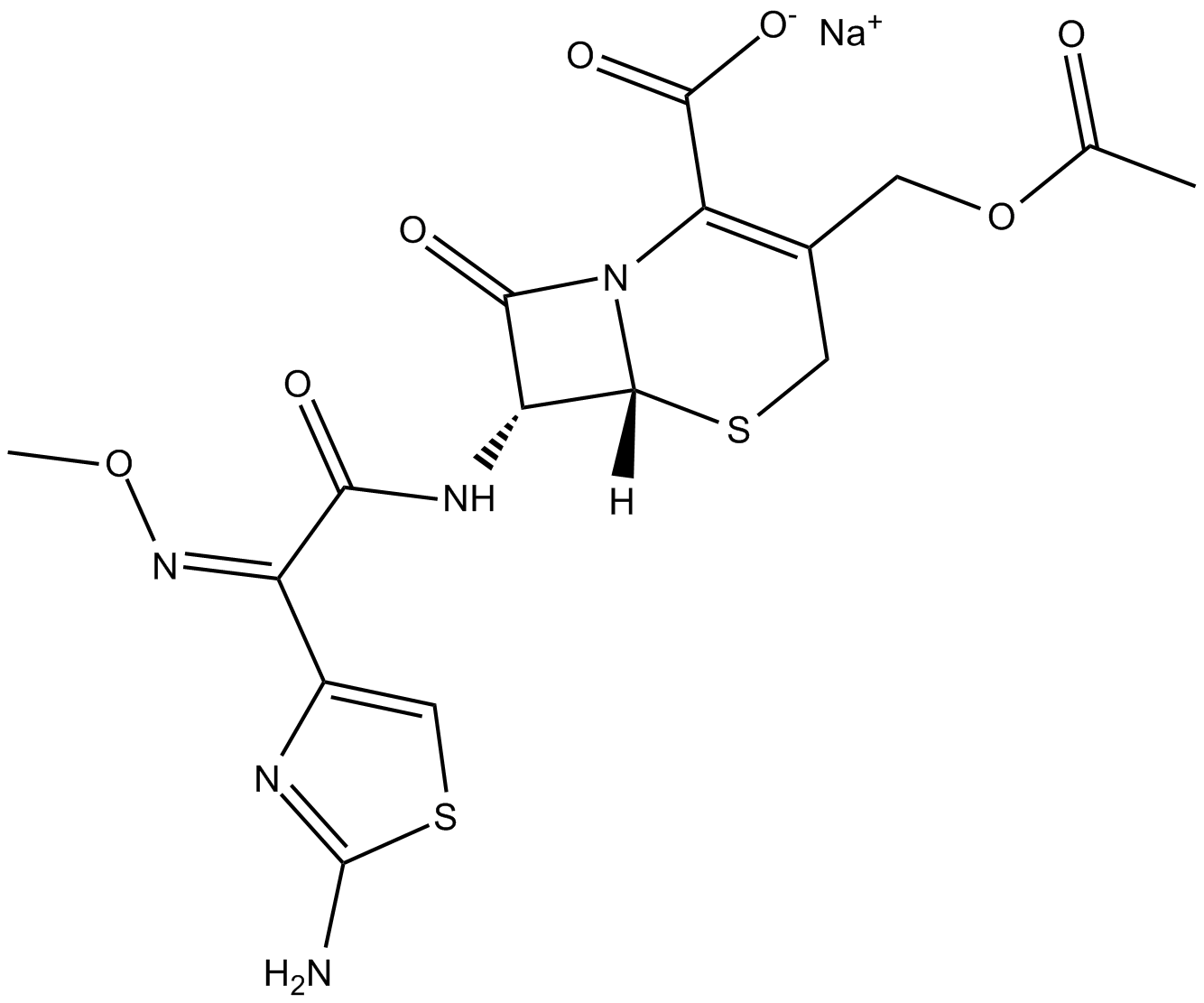 Cefotaxime (sodium salt)