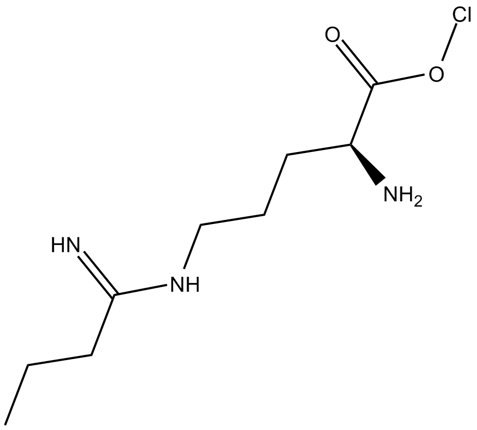 Ethyl-L-NIO (hydrochloride)