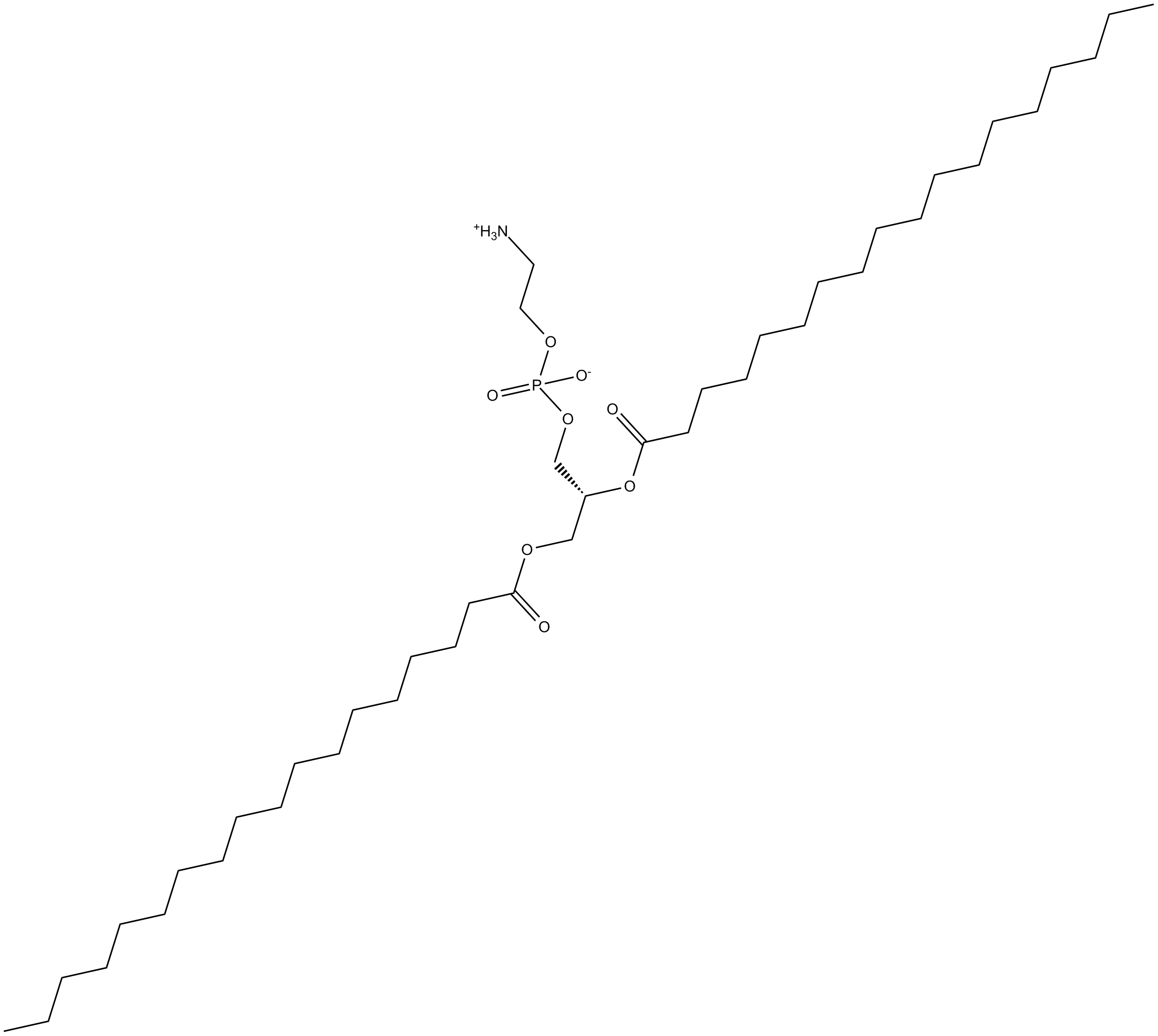1,2-Distearoyl-sn-glycero-3-PE