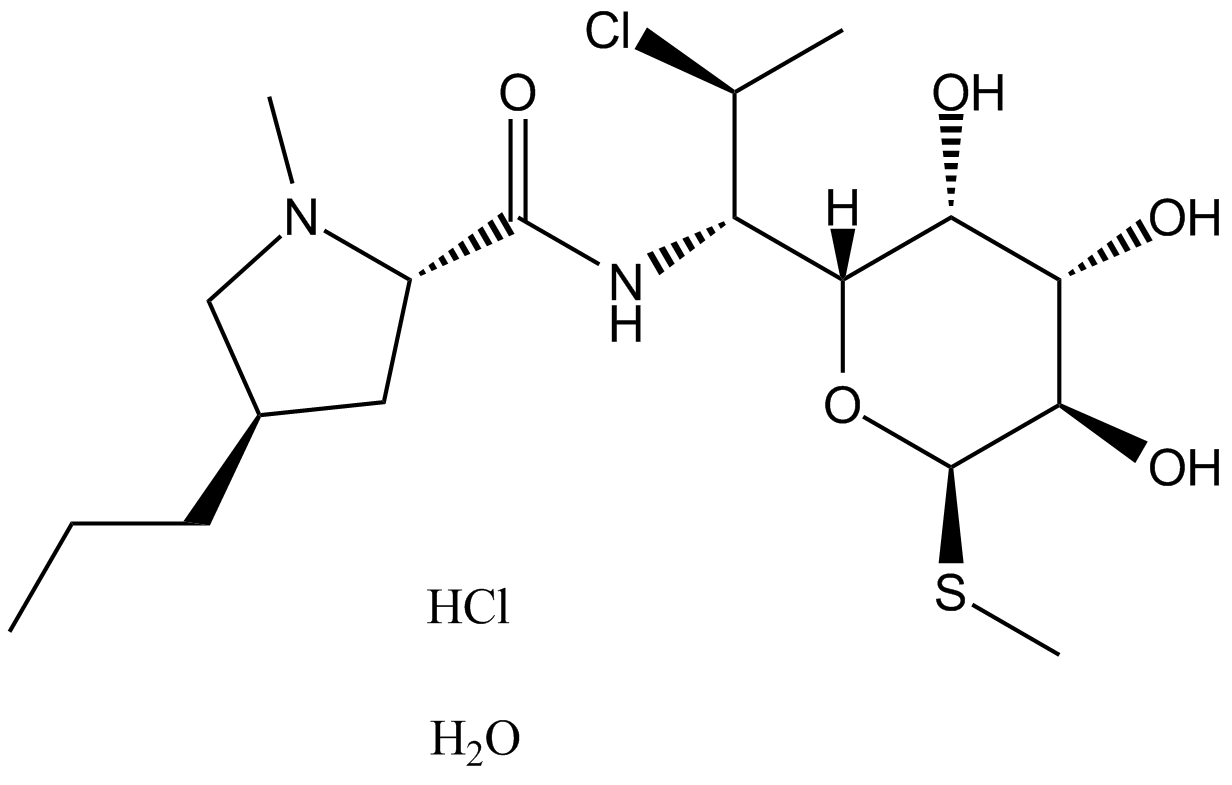 Clindamycin alcoholate
