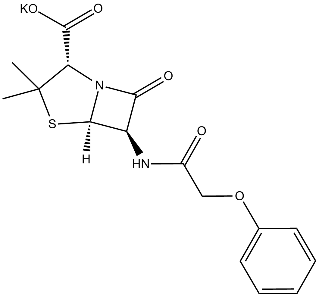 Penicillin V potassium salt