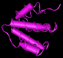 Caspase-4, human recombinant protein