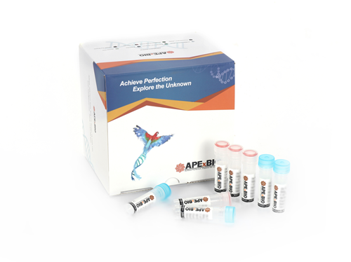 HyperScribe™ T7 High Yield RNA Synthesis Kit