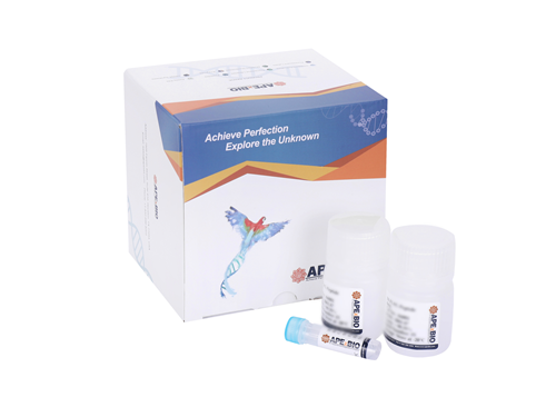 Annexin V-Cy5/SYTOX Green Apoptosis Kit