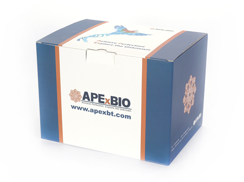 HyperScribe™ SP6 High Yield RNA Synthesis Kit