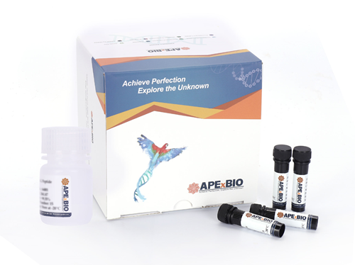 Annexin V-EGFP Apoptosis Kit