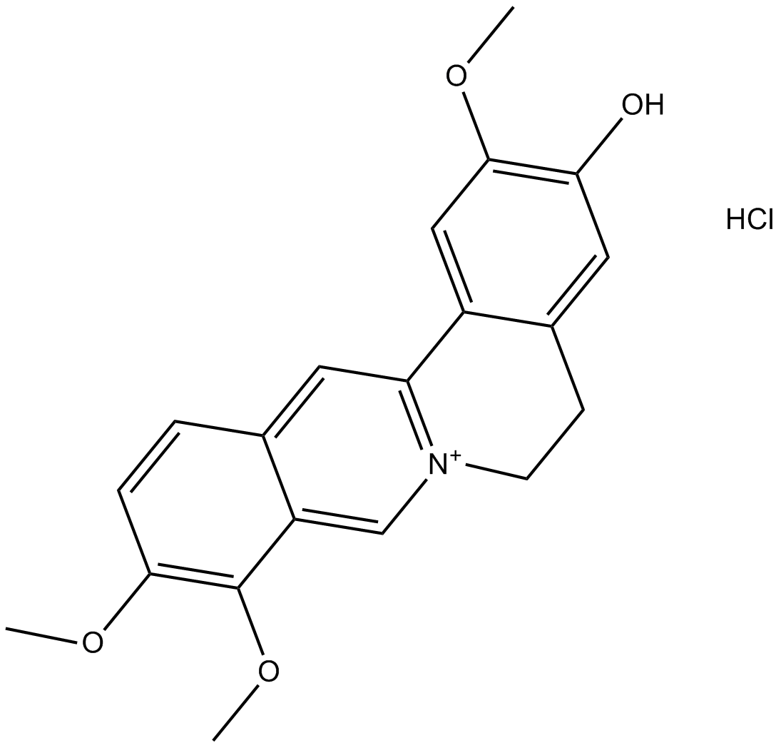 Jatrorrhizine Hydrochloride