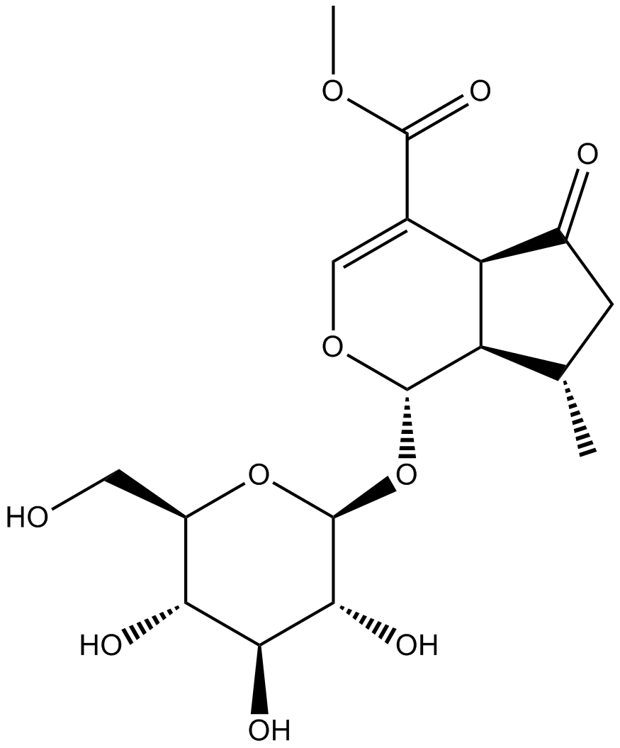 Verbenalinp