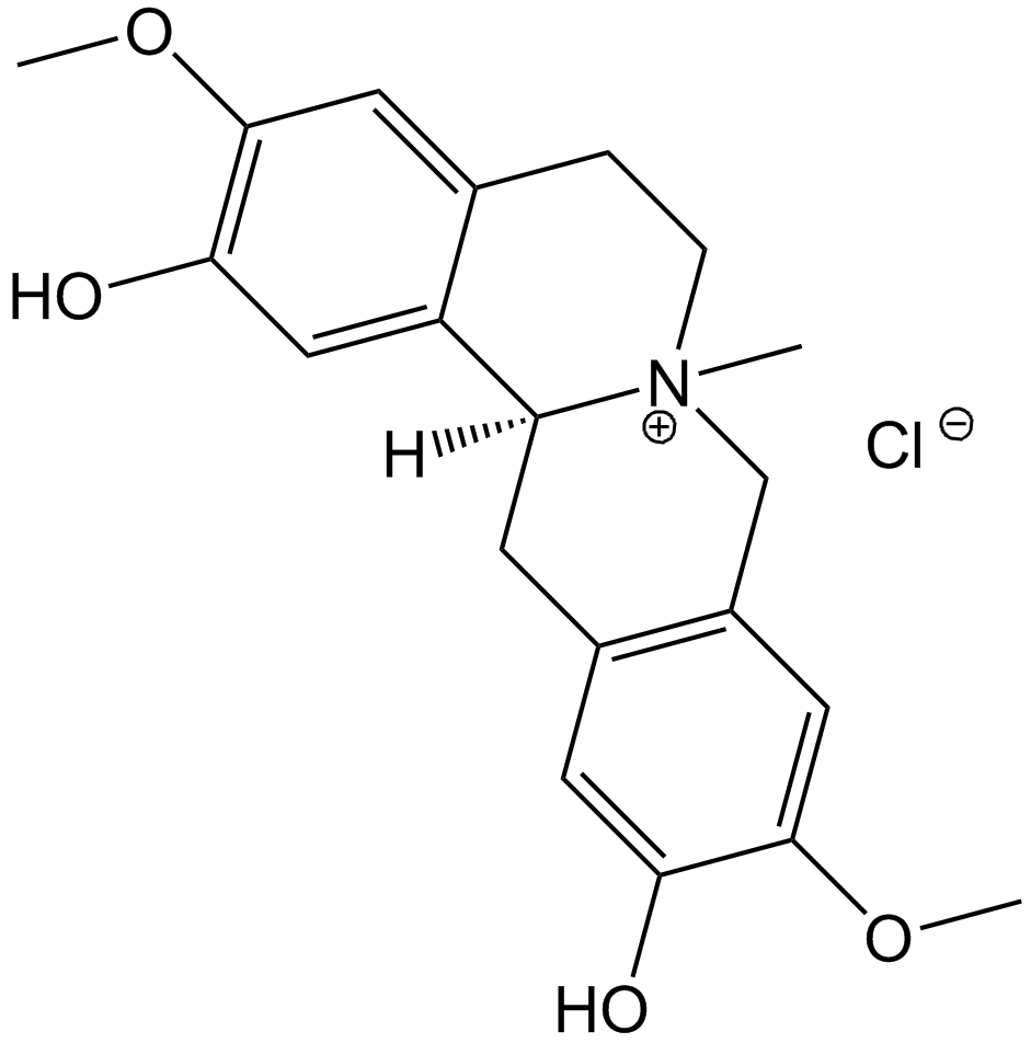 Phellodendrine chloride