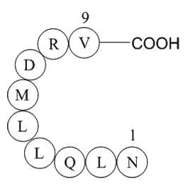 eukaryotic translation initiation factor 3